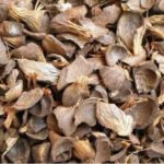 solid waste recycling