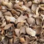 solid waste recycling