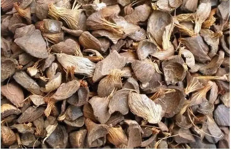 solid waste recycling