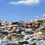 Shredder application for municipal solid waste recycling